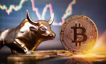 2025 Bull Run